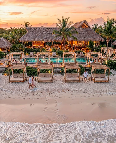 Beach Club 
							The Palms
